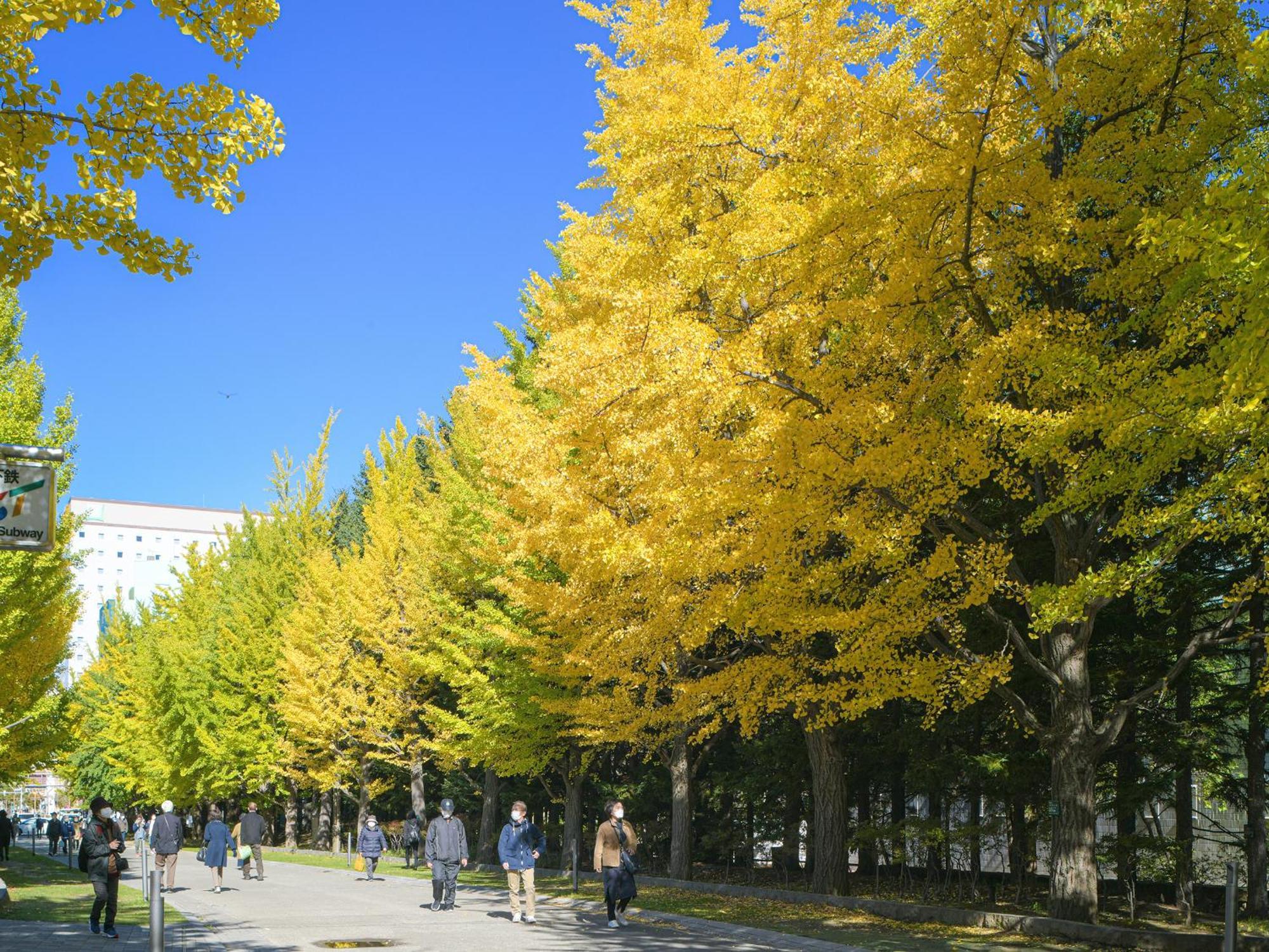 Vessel Inn Sapporo Nakajima Park Exterior photo